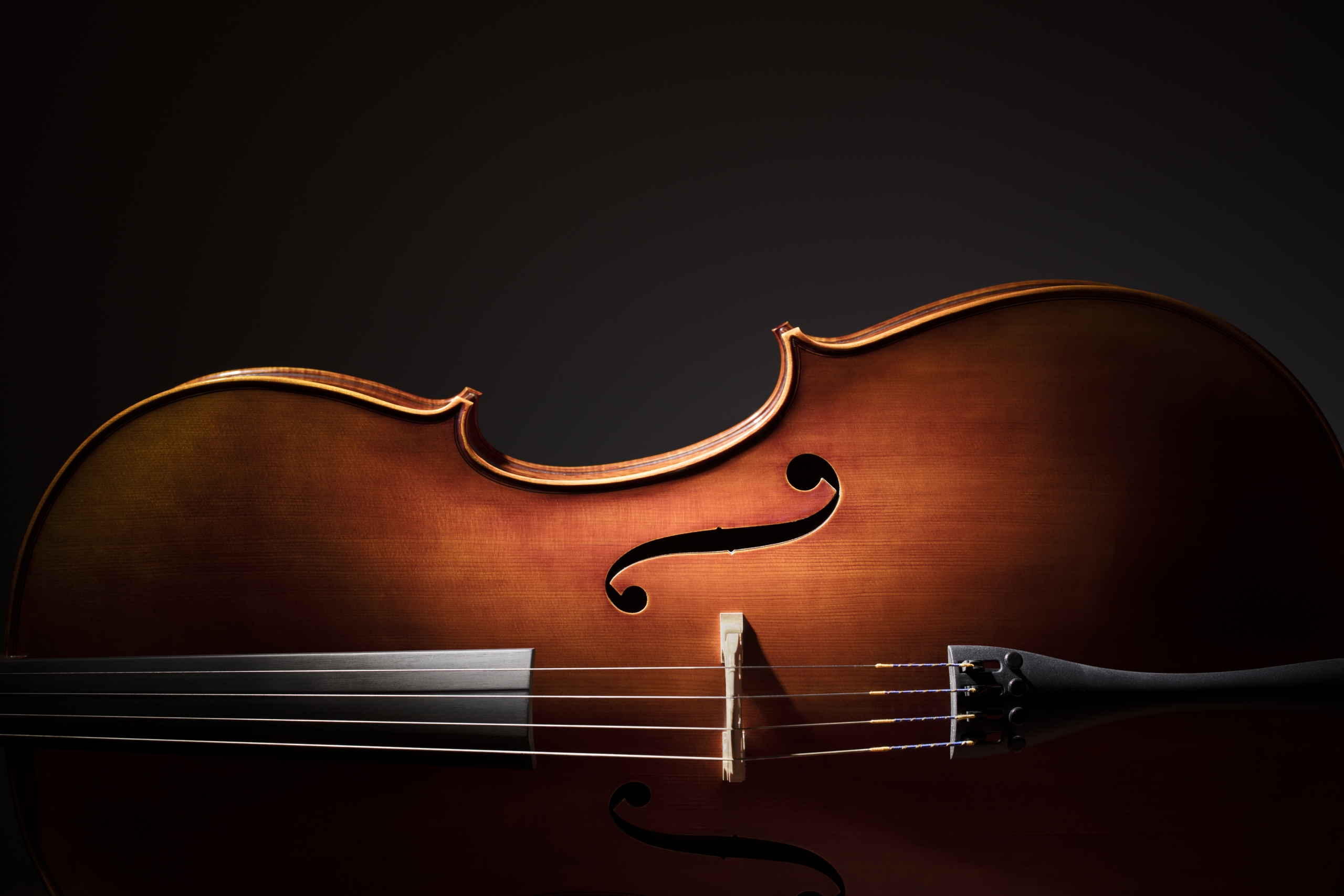 Silhouette of a violin on black background