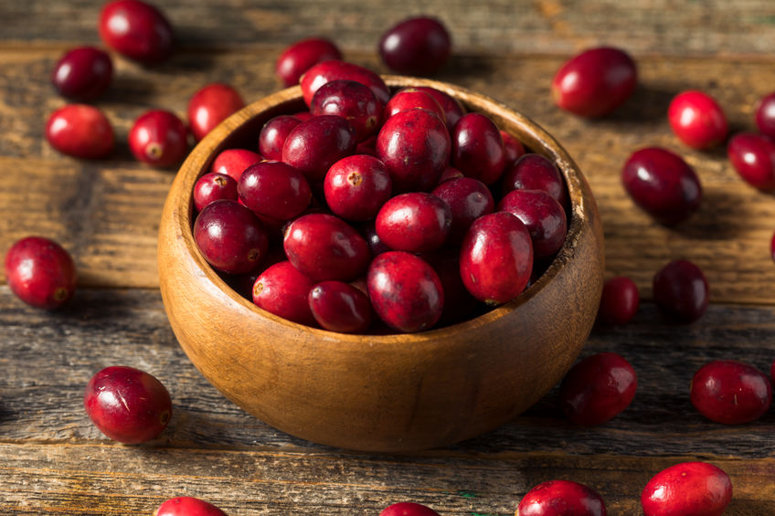 Raw Red Organic Cranberries in a Bowl
