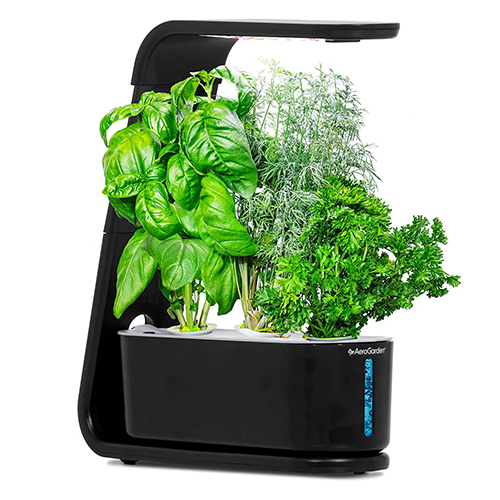 aerogarden-sprout-indoor-garden