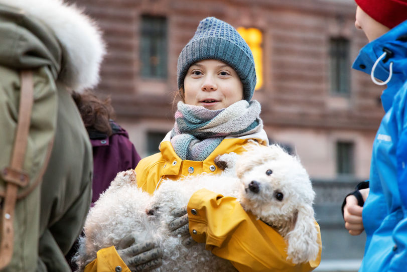 16-year-old Swedish climate activist Greta Thunberg back in Sweden demonstrating on Mynttotget in Stockholm on Fridays. With "protester poodle"