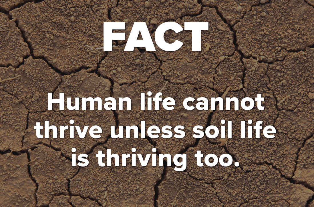Factoid: Human life cannot thrive unless soil life is thriving too