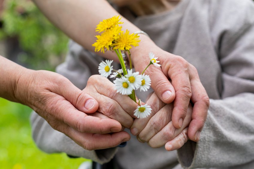 Hands of carergiver helping care recipient to hold daisies