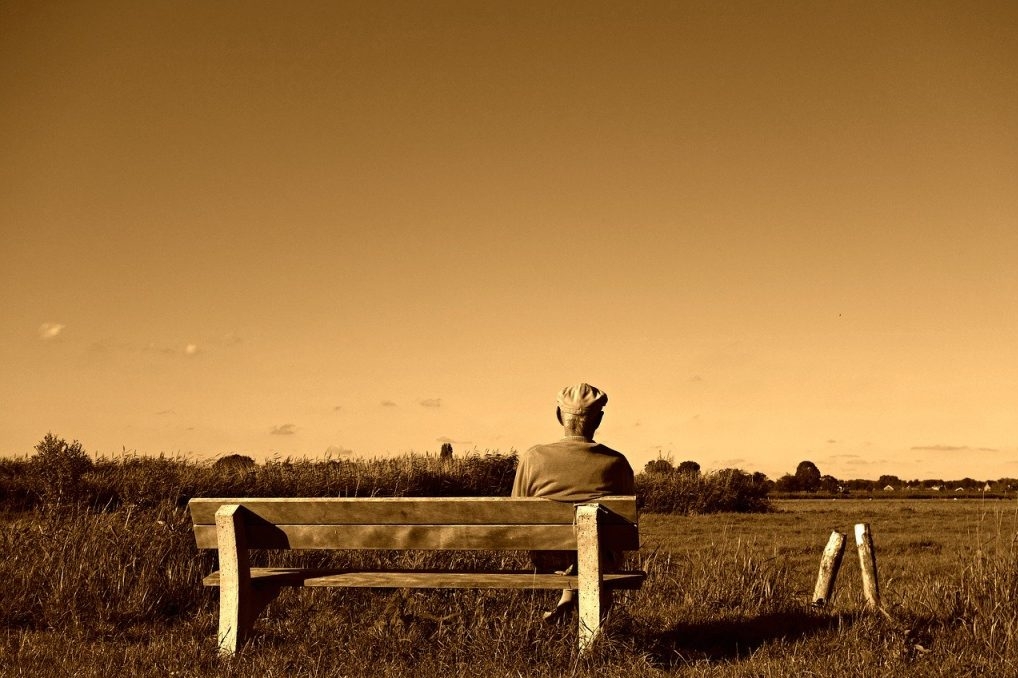 Man seated alone on bench looking at the fields