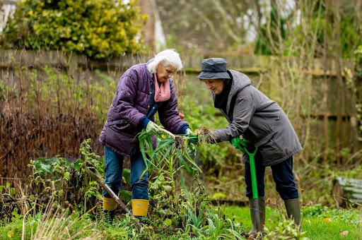 Illustration of care partner gardening with a person living with dementia.