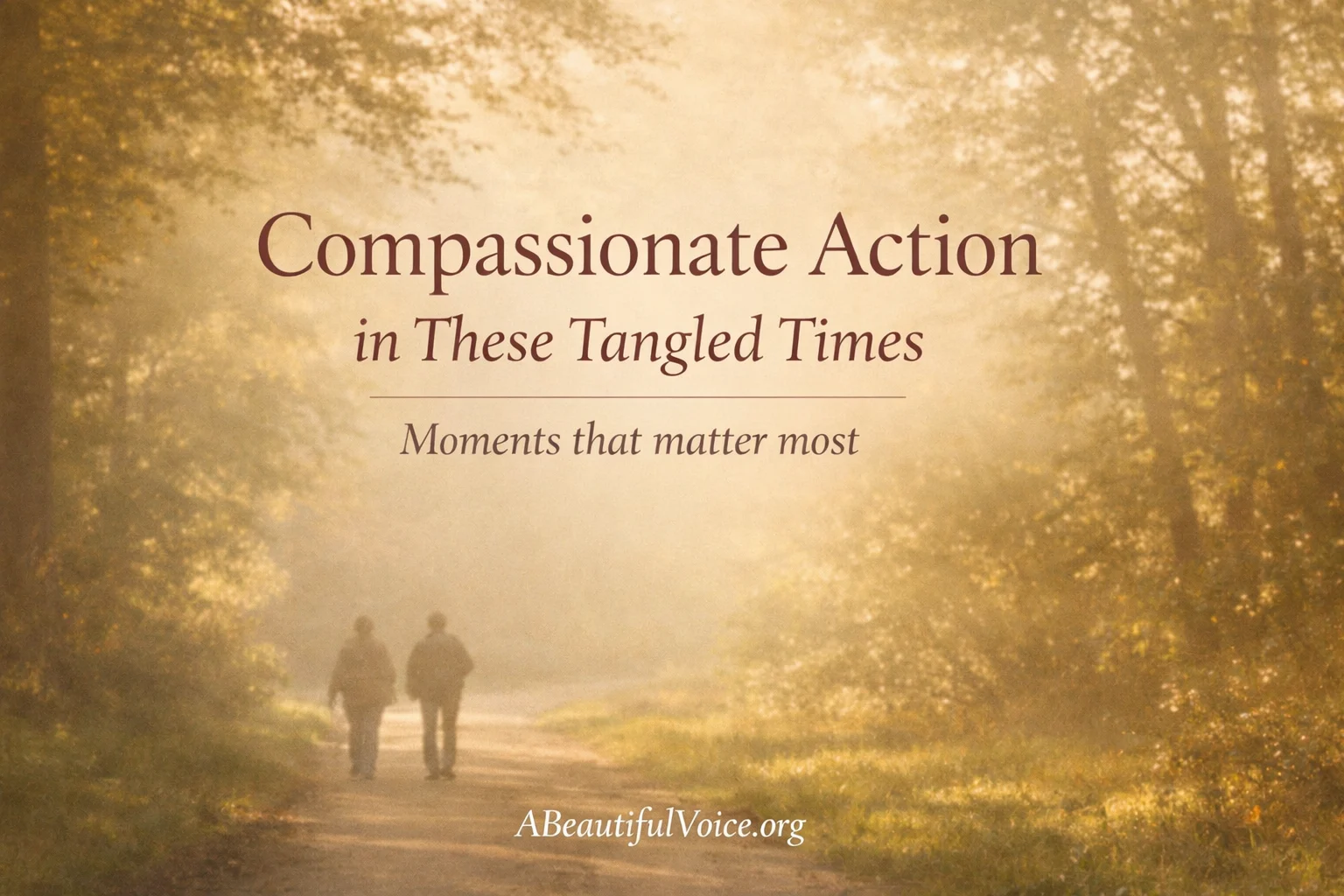 Two people walking in the distance n a sun-lit woods with the title of the blogpost written in the sky: "Compassionate Action in These Tangled Times" with this subheader, "Moments that matter most."