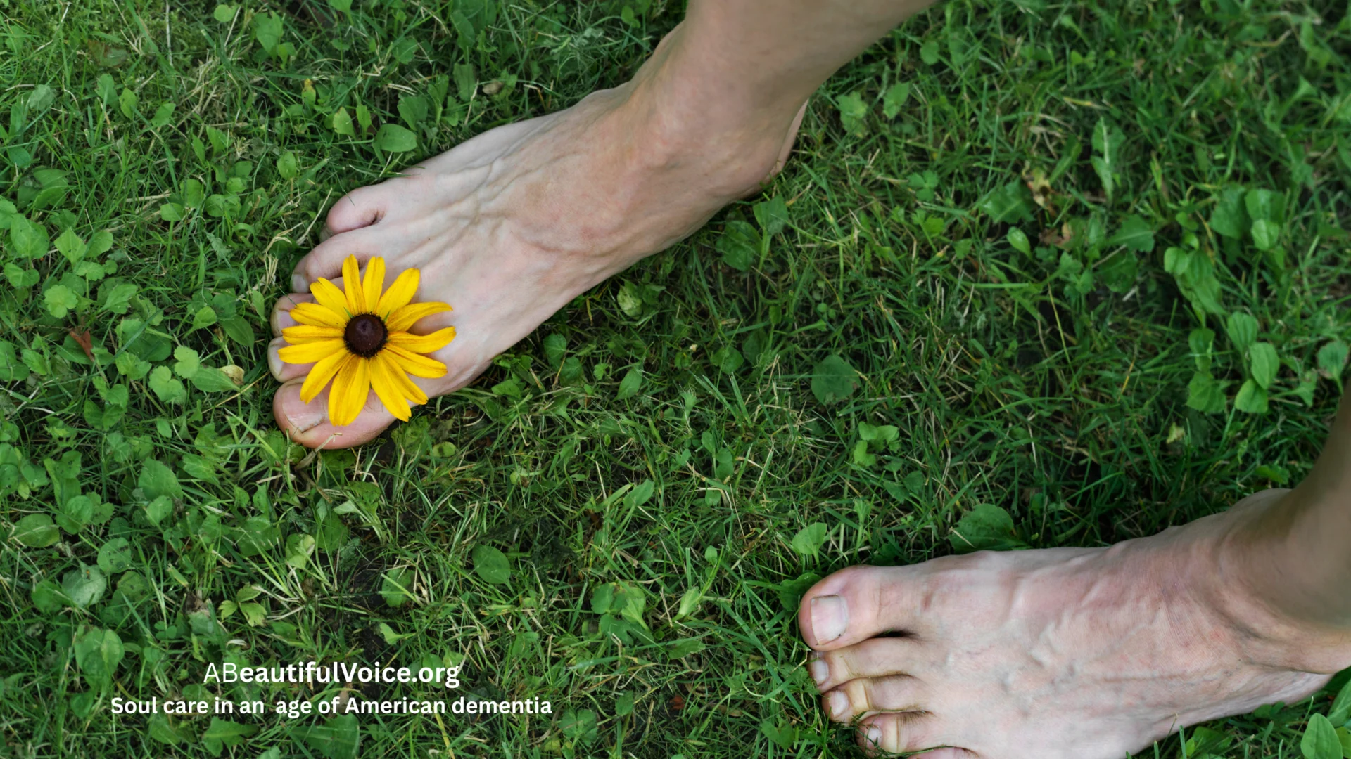 Image of older person's feet, barefoot in the grass with a flower between the toes. It is a brainstorming suggestion for a SUMMER BUCKET LIST, one in the realm of the senses - to awaken sensations long overlooked in the older adult years.