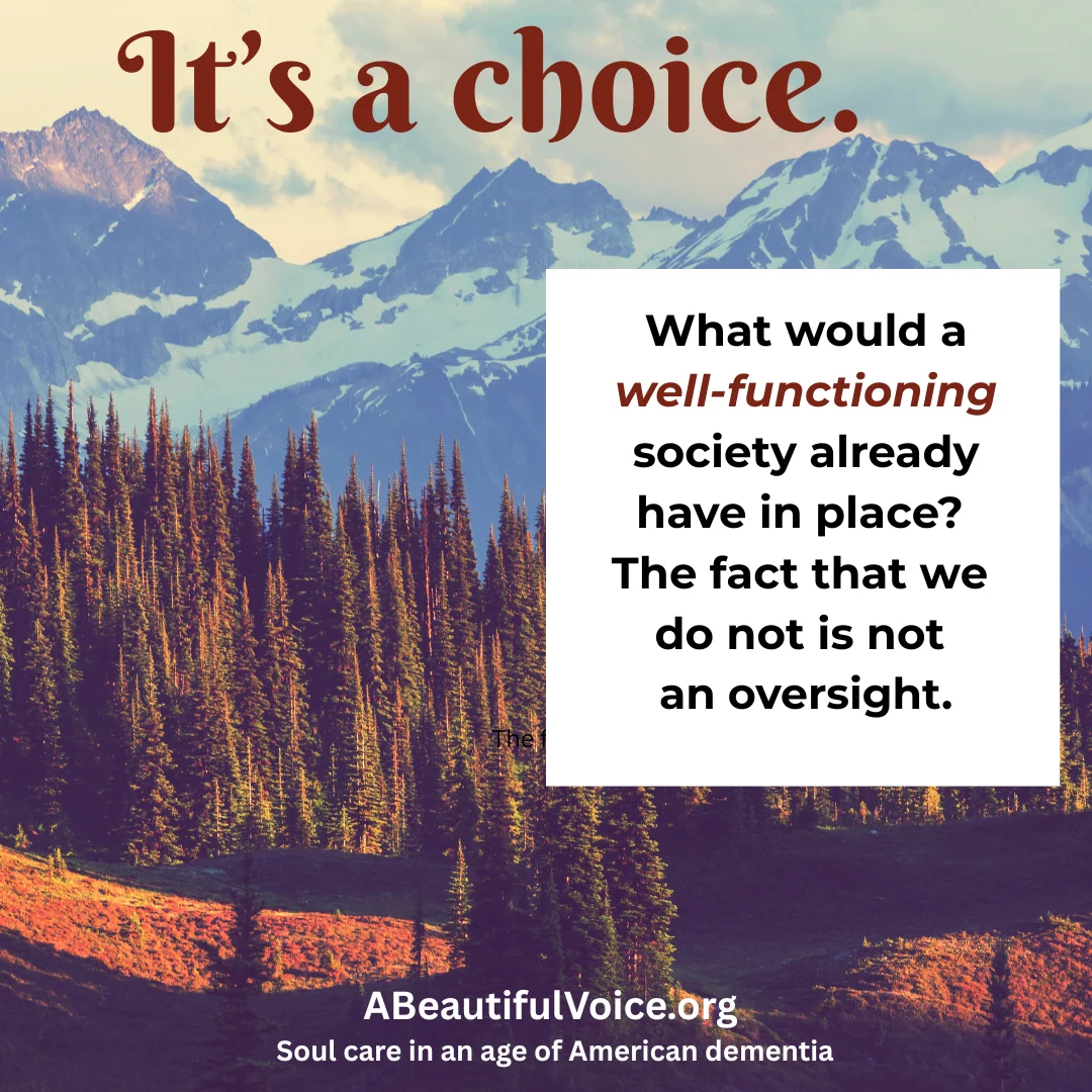 Mountain scene with the words, "What would a well-functioning society already have in place? The fact that we do not is not an oversight. It is a choice."