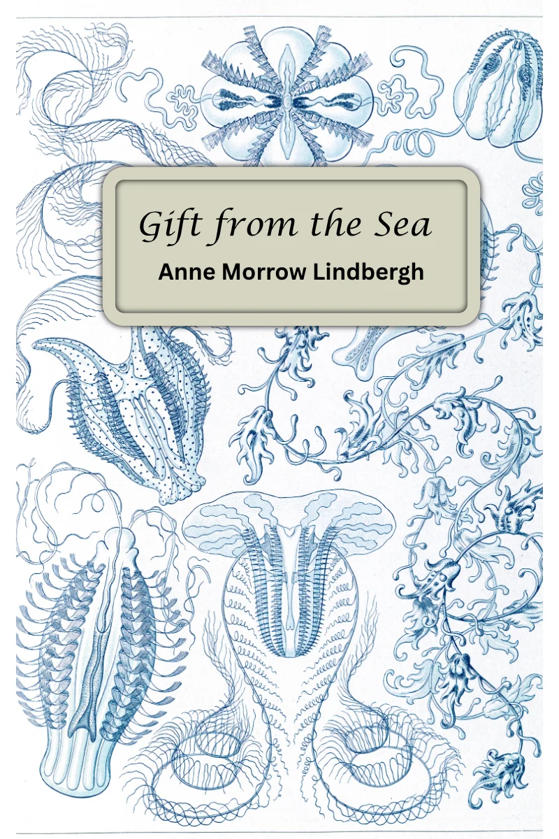 An artist rendering of the cover of "Gift from the Sea" by Anne Morrow Lindburgh, with simple, soothing, summer-time reading which people living with dementia have enjoyed.