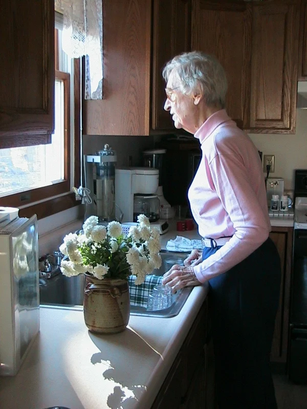 My mother standing at the kitchen sink looking at our 2 bird feeders while singing and talking to the birds - after just arriving for breakfast!